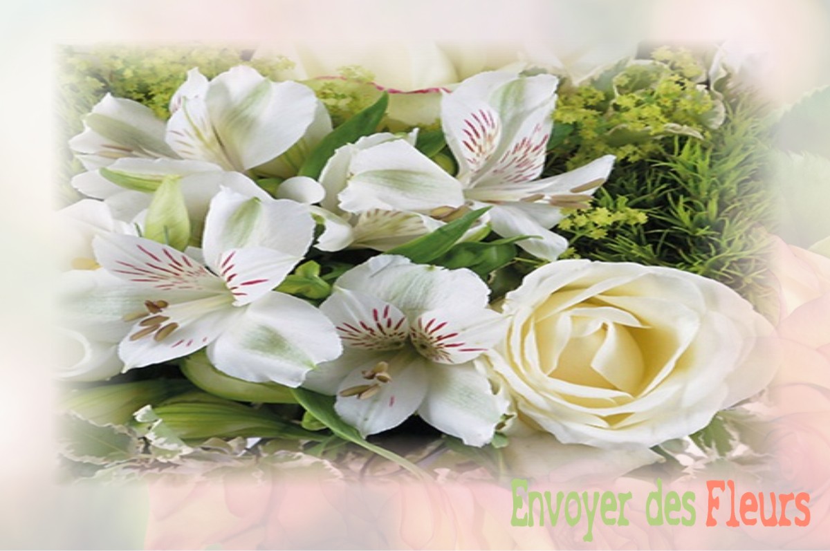 envoyer des fleurs à à RIENCOURT-LES-CAGNICOURT
